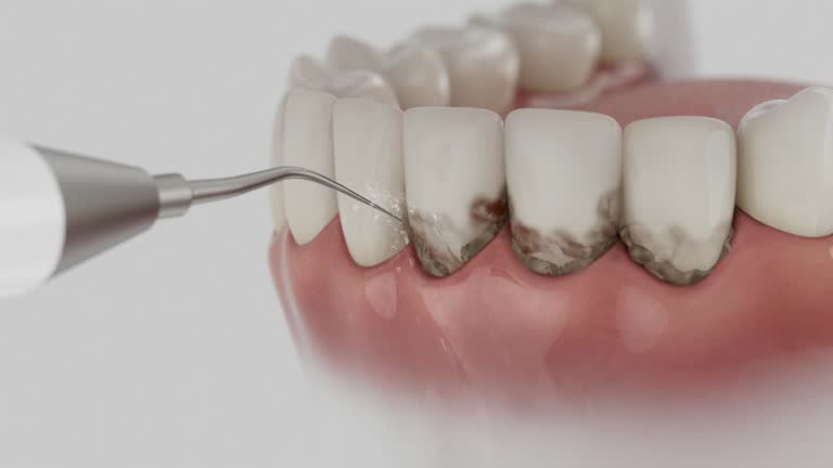 Reliable Dental contractor in Walterboro, SC by Dentist Open Now